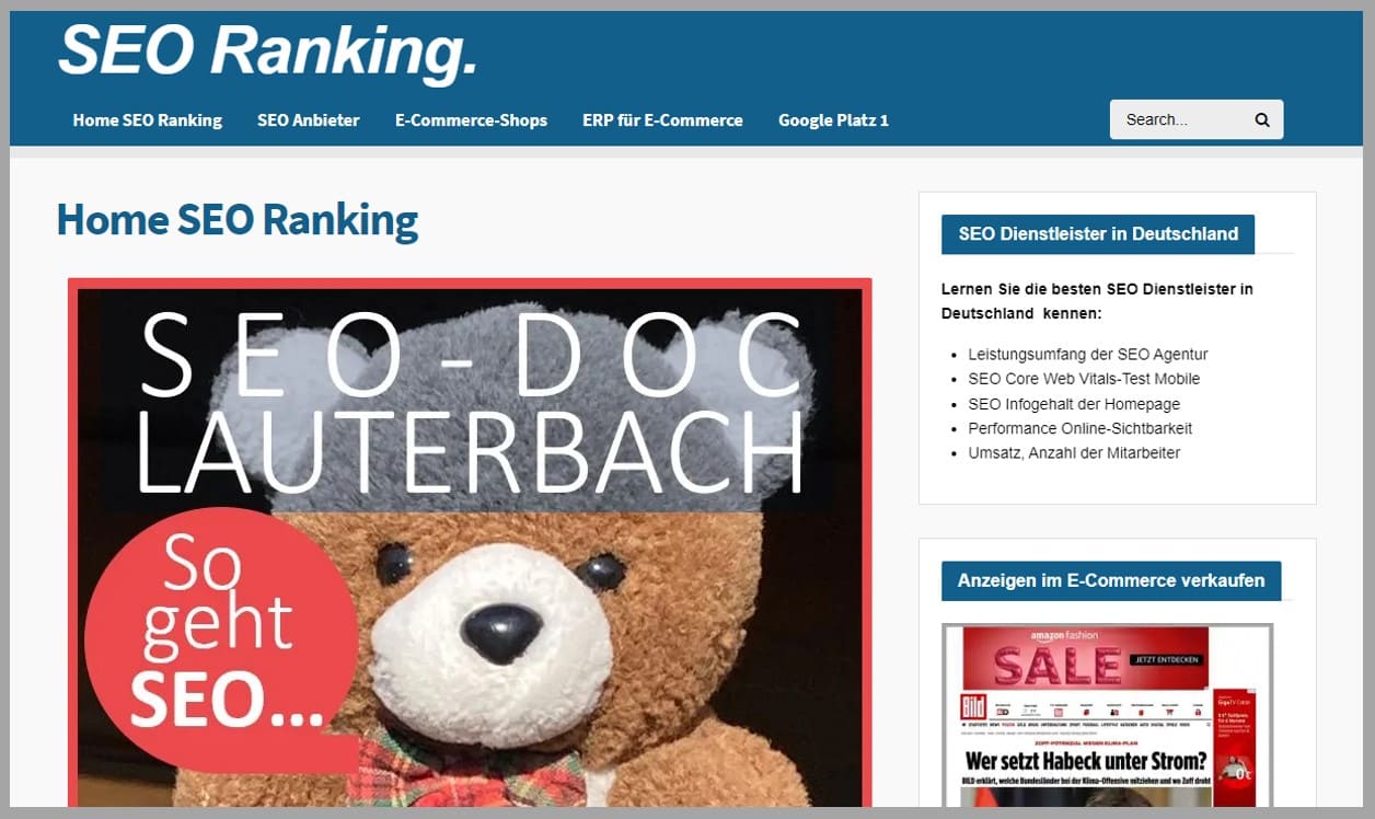 SEO-Frick.com SEO-Dienstleister in Deutschland